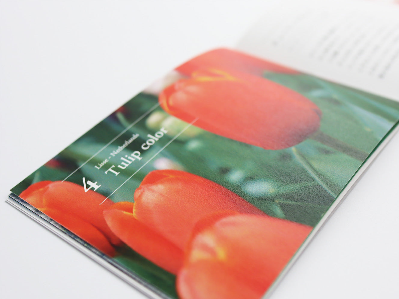 TOMOKO MURATA×TAG STATIONERY | Land scape. 風景のいろ-MINI
